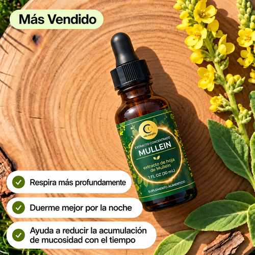 Extracto Botánico de Mullein