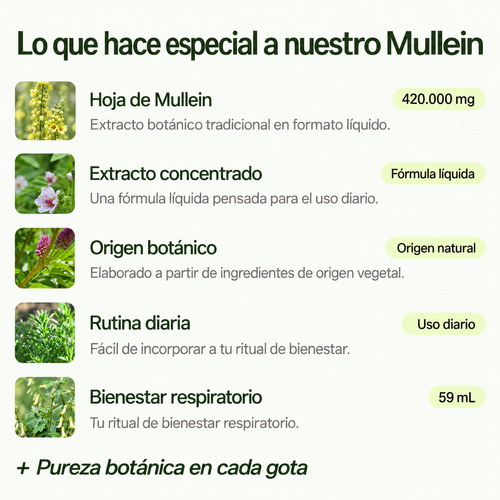 Extracto Botánico de Mullein
