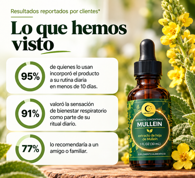 Extracto Botánico de Mullein